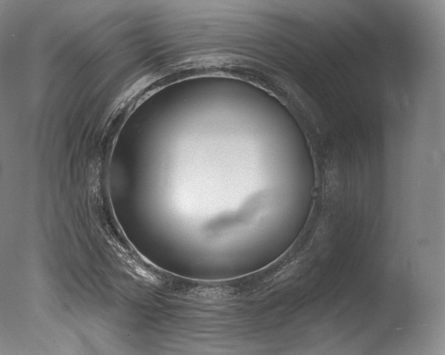 X0000077370778200610201347