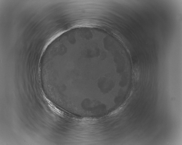 X0000077370779200610201347