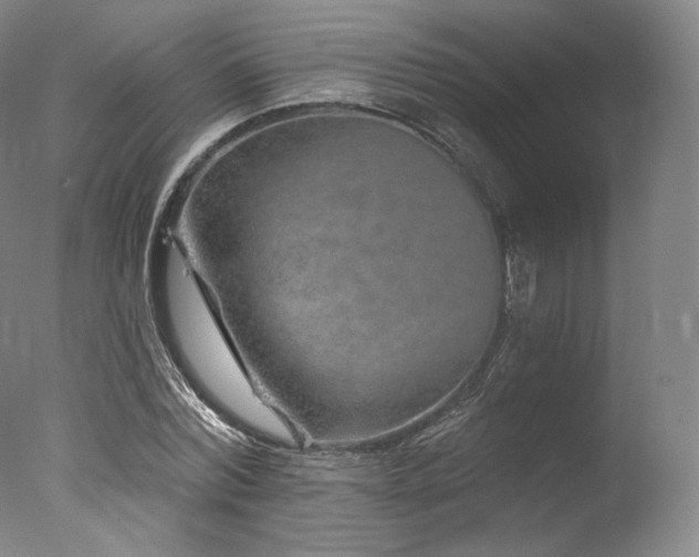 X0000077370780200610201347