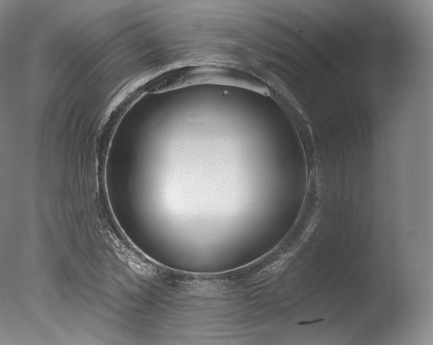 X0000077370781200610201347