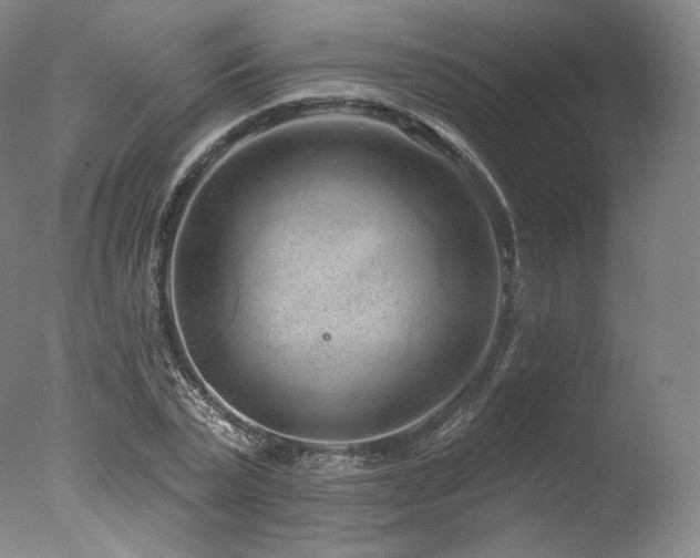 X0000077370783200610201347