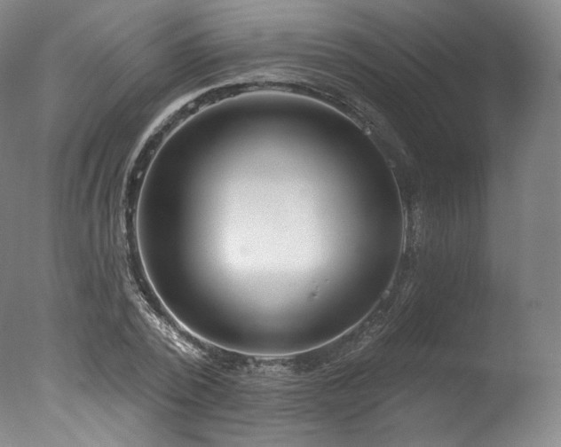 X0000077370784200610201347