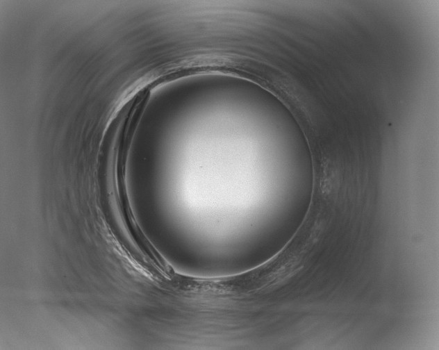 X0000077370786200610201347