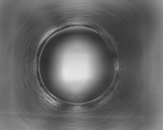 X0000077370787200610201347