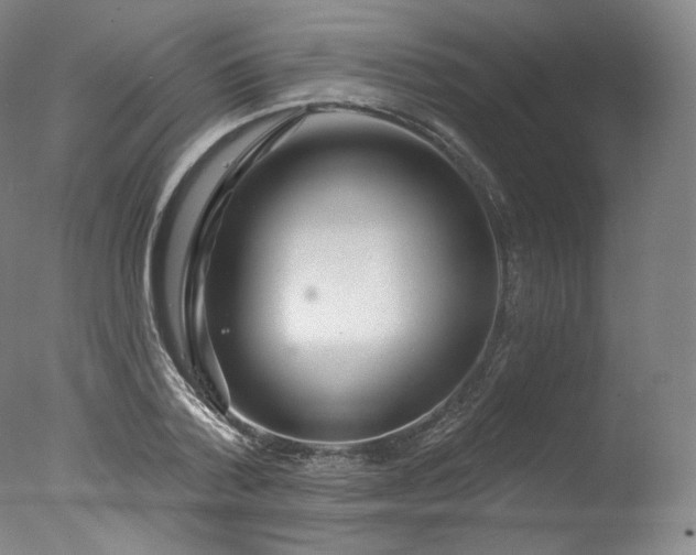 X0000077370788200610201347