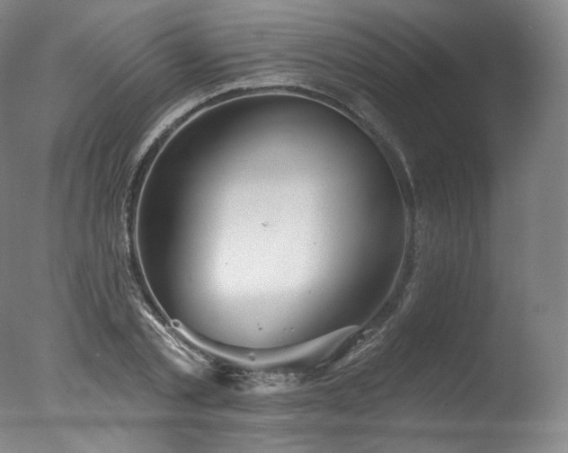 X0000077370789200610201347