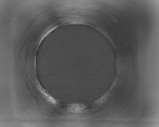 X0000077370790200610201347