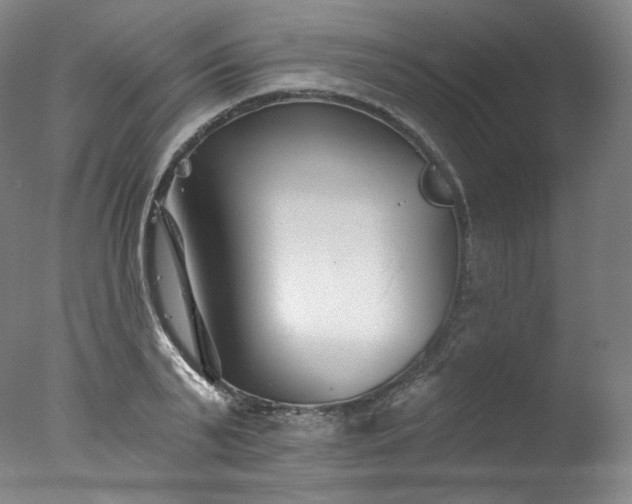 X0000077370791200610201347