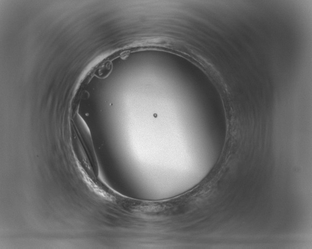 X0000077370792200610201347