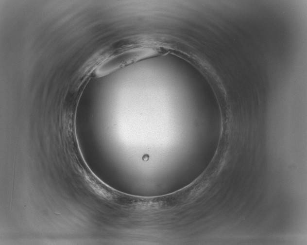 X0000077370793200610201347