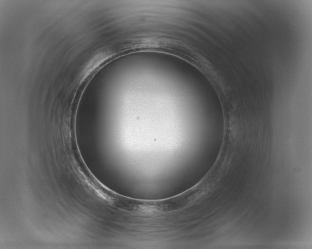 X0000077370794200610201347