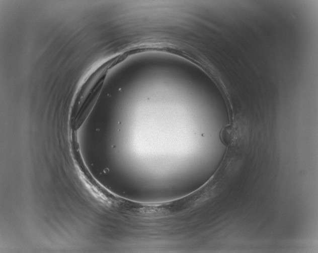 X0000077370795200610201347