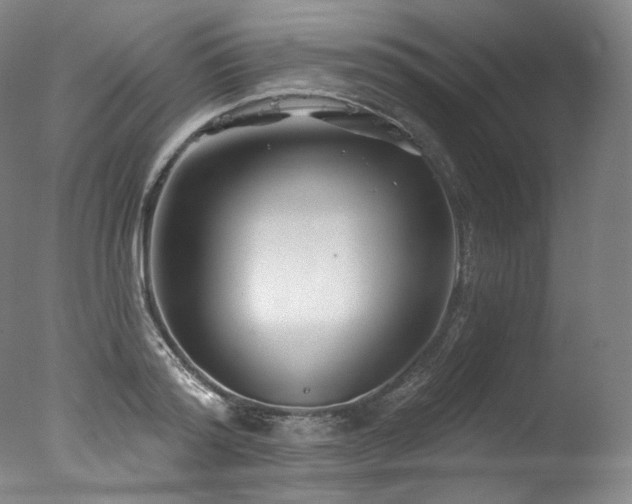 X0000077370796200610201347