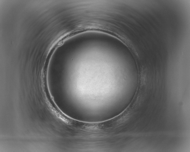 X0000077370798200610201347