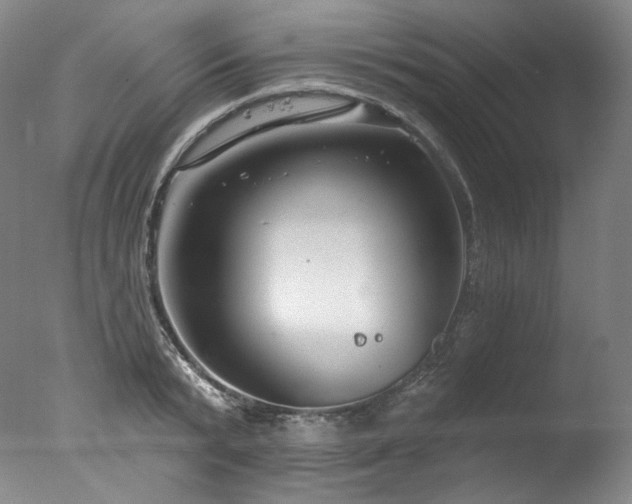 X0000077370799200610201347