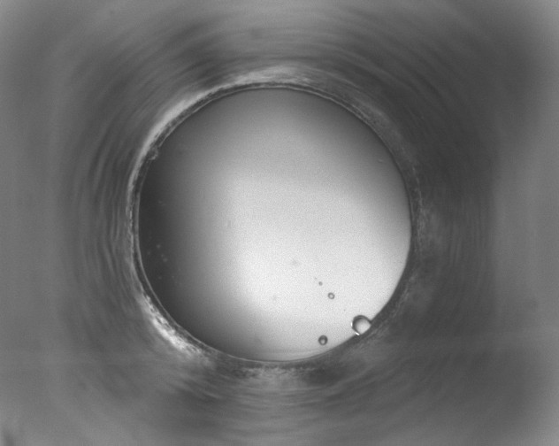 X0000077370800200610201347