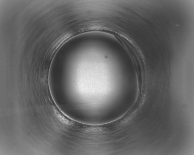 X0000077370801200610201347