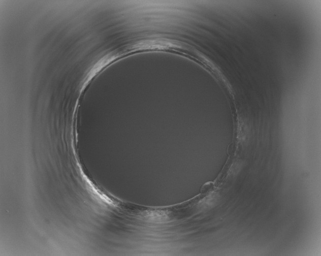 X0000077370802200610201347