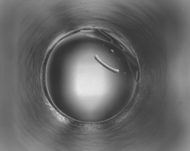 X0000077370803200610201347