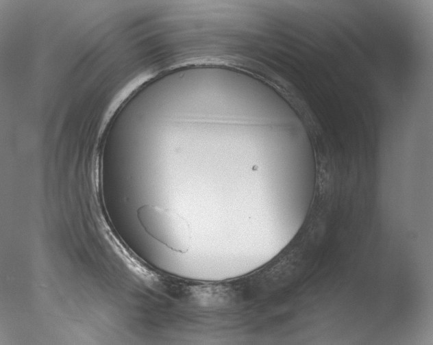 X0000077370804200610201347