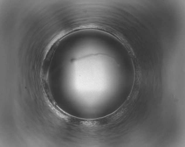 X0000077370805200610201347