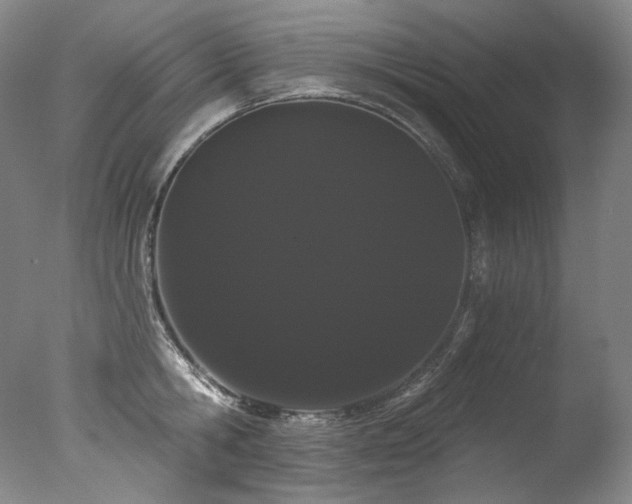 X0000077370806200610201347