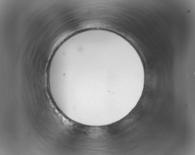 X0000077370807200610201347