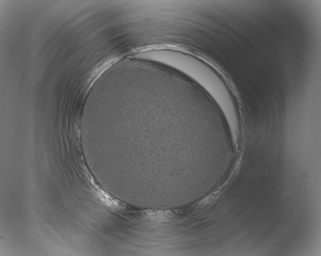 X0000077370809200610201347