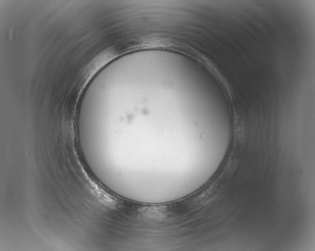 X0000077370810200610201347