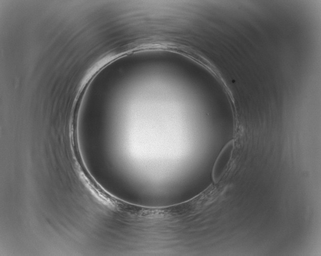 X0000077370811200610201347