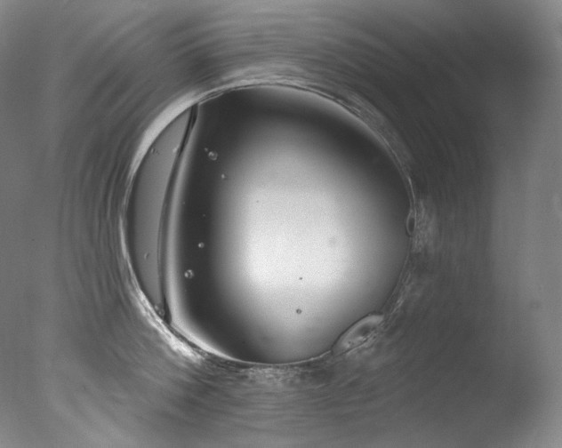 X0000077370812200610201347