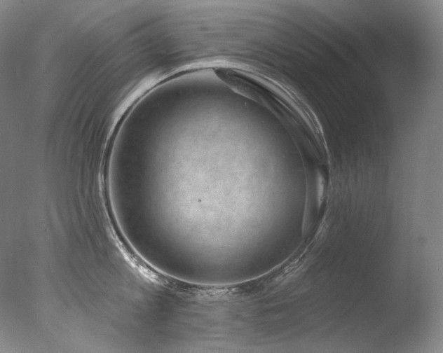 X0000077370813200610201347