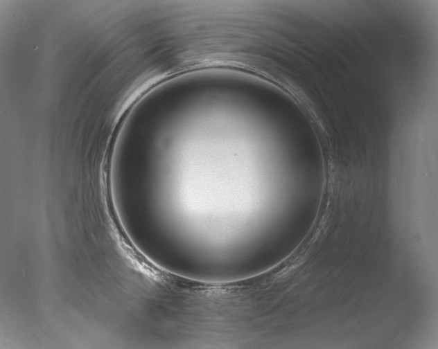 X0000077370814200610201347