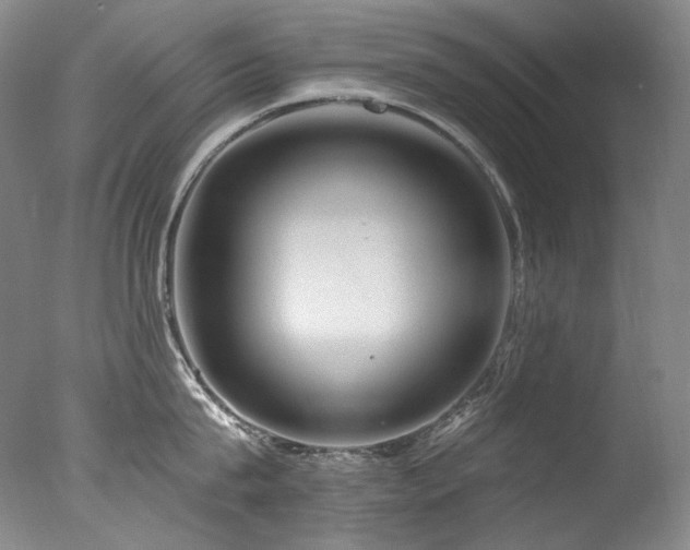 X0000077370815200610201347