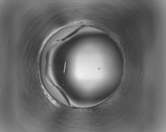 X0000077370816200610201347