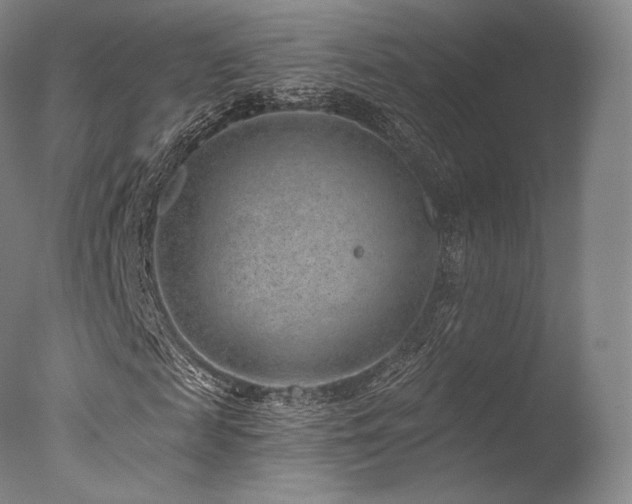 X0000077370817200610201346