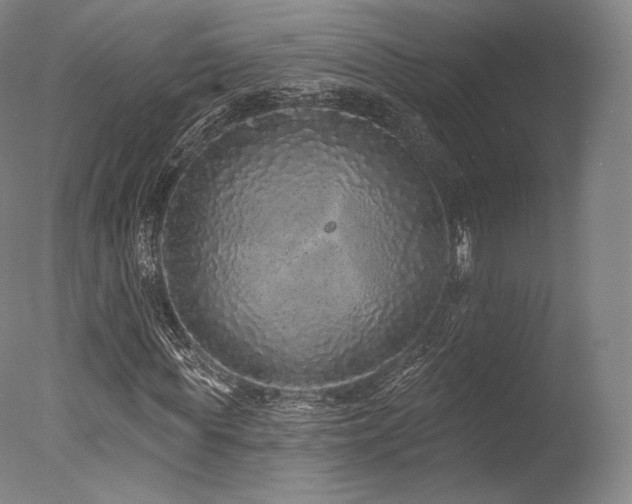 X0000077370819200610201346