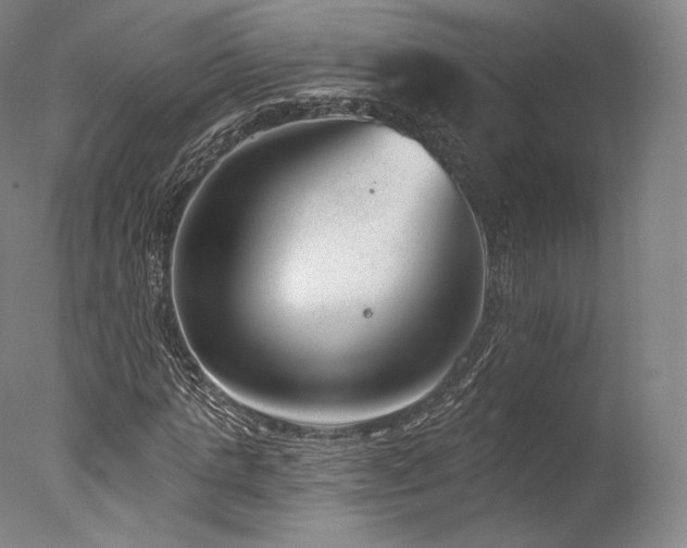 X0000077370821200610201346