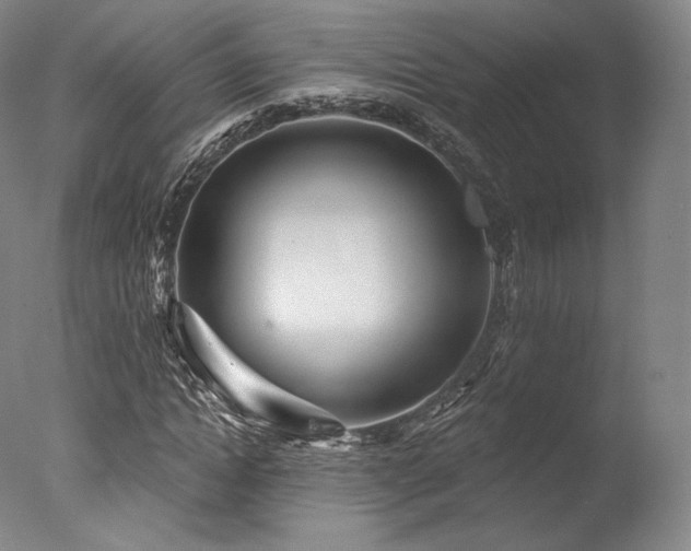 X0000077370822200610201346