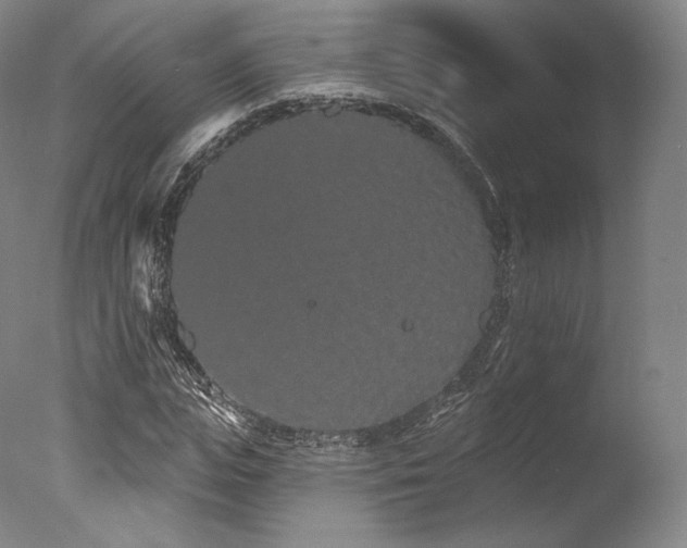 X0000077370823200610201346