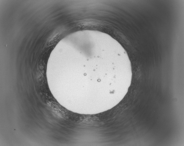 X0000077370824200610201346