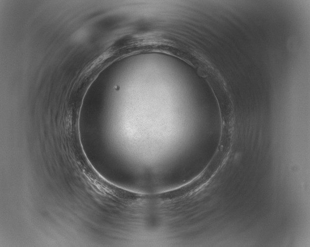 X0000077370825200610201346