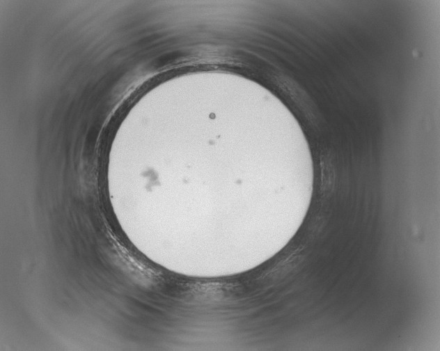 X0000077370828200610201346