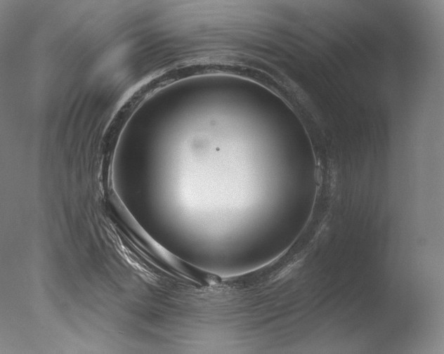 X0000077370830200610201346