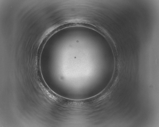 X0000077370831200610201346