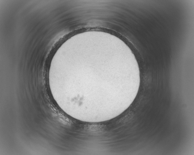 X0000077370832200610201346