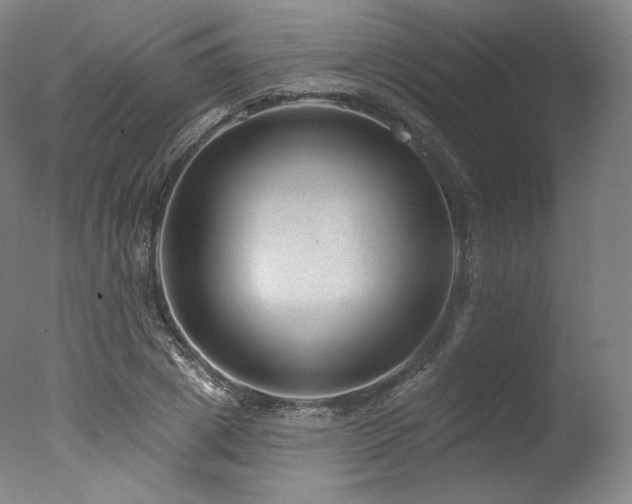 X0000077370833200610201346