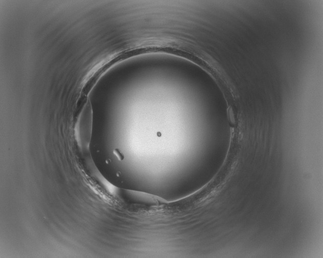 X0000077370834200610201346