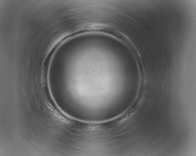 X0000077370835200610201346