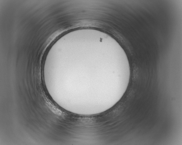 X0000077370836200610201346